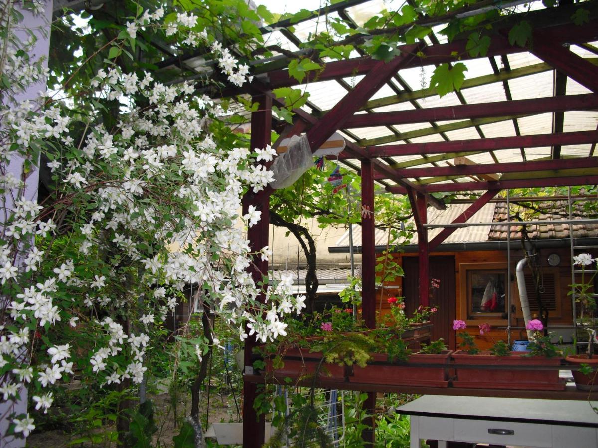 Villa La Baraque Colmar Esterno foto